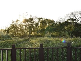 DSC_2146.JPG