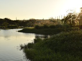 DSC_2147.JPG