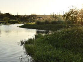 DSC_2148.JPG