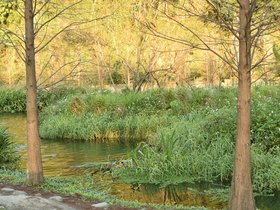 DSC_2149.JPG