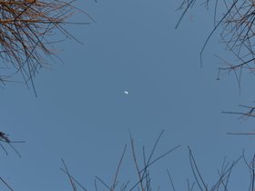 DSC_2150.JPG