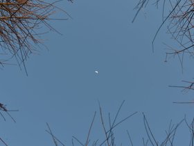 DSC_2151.JPG