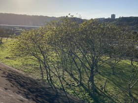 IMG_1610.JPG