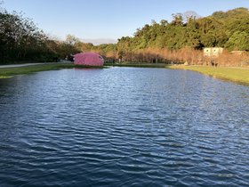 IMG_1614.JPG