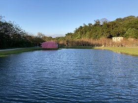 IMG_1615.JPG