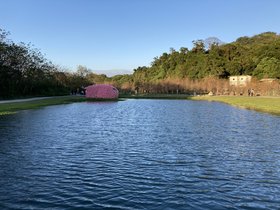 IMG_1616.JPG