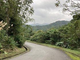 IMG_2989.JPG
