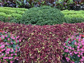 IMG_3118.JPG