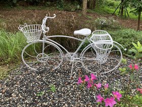 IMG_3169.JPG