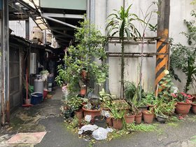 IMG_3183.JPG