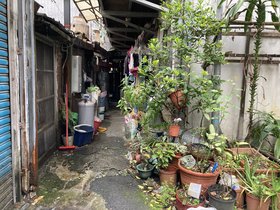 IMG_3184.JPG