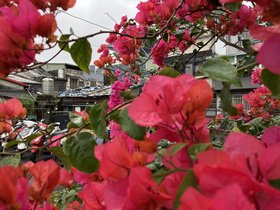 IMG_3188.JPG