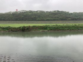 IMG_3206.JPG