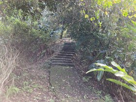 IMG_3794.JPG