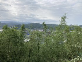 IMG_3801.JPG