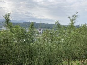 IMG_3802.JPG