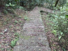 IMG_3804.JPG