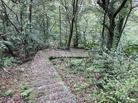 IMG_3805.JPG