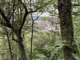 IMG_3806.JPG