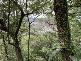 IMG_3807.JPG