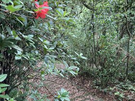 IMG_3808.JPG