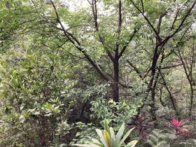 IMG_3810.JPG
