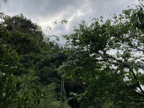 IMG_3811.JPG