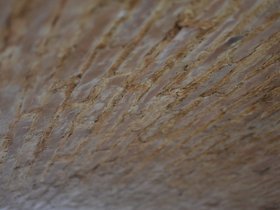 DSC_4112.JPG