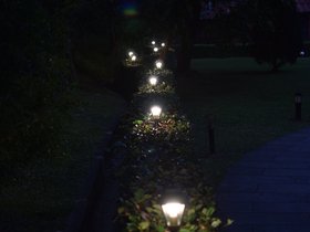 DSC_4118.JPG