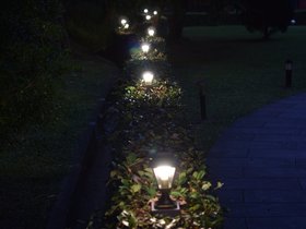 DSC_4119.JPG