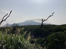 IMG_7604.JPG