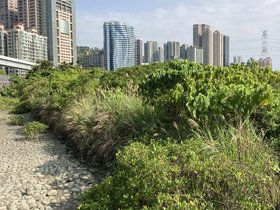 IMG_7608.JPG