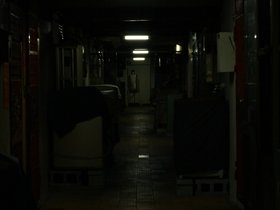 IMG_3666%20%282%29.JPG