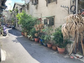 IMG_8482.JPG