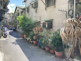 IMG_8483.JPG