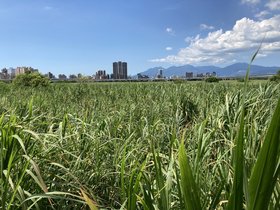 IMG_8500.JPG