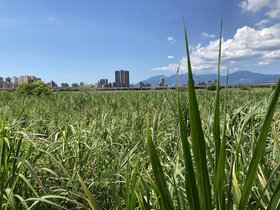 IMG_8501.JPG