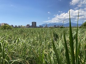 IMG_8502.JPG