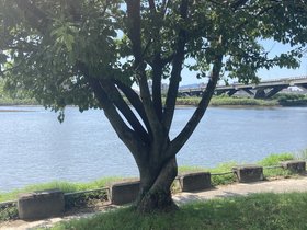 IMG_8503.JPG
