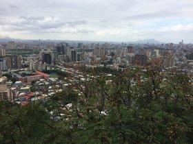 IMG_7481.JPG