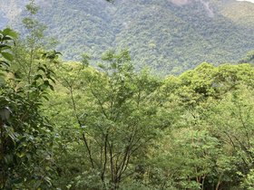 Wulai District