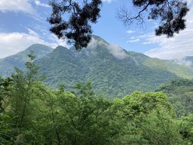 IMG_0964.JPG