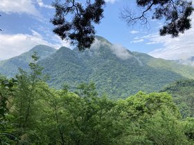 IMG_0965.JPG