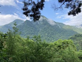 IMG_0966.JPG