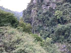 IMG_2918.JPG