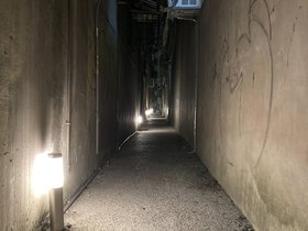IMG_4962.JPG