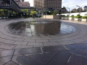 IMG_8509.JPG