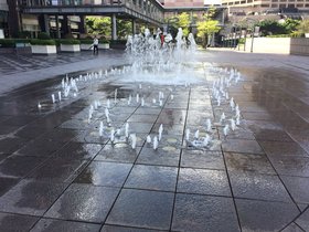 IMG_8519.JPG