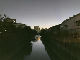 IMG_7958.jpg