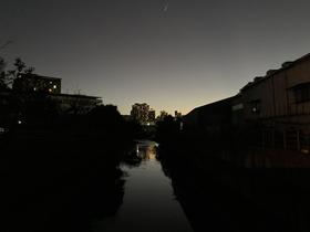 IMG_7959.jpg